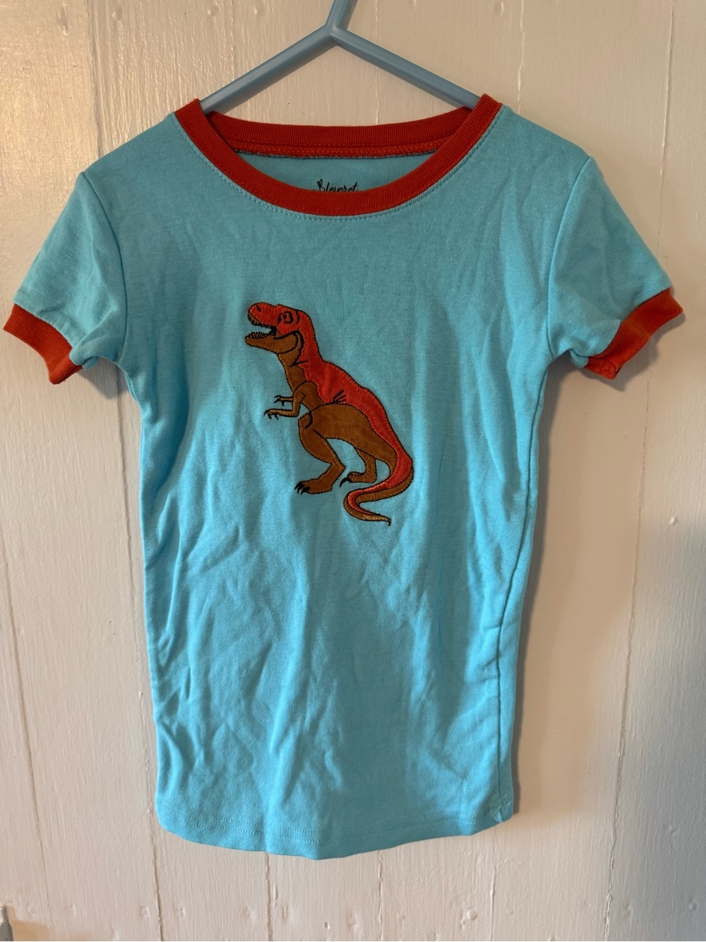 Kids Short Sleeve Dinosaur Tee in Light Blue with Red Trim